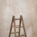 12116 Beige Stong Text La