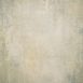 12118 Beige Strong Text L