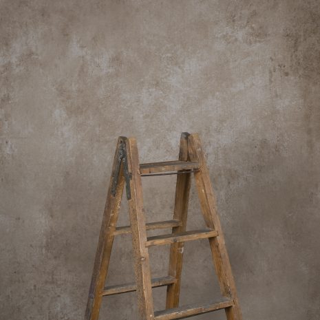 12120 Beige Grey Mid Text La