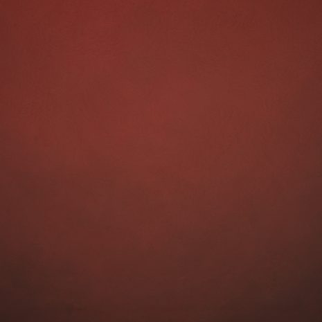 12124 Red Low Text L