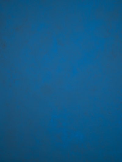 12134 Blue Low Text L