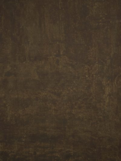 12176 Brown Mid Text M