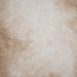 12211 Beige Strong Text M