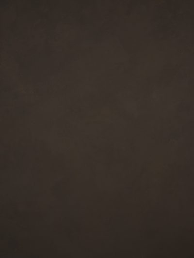 12240 Dark Brown Low Text ST