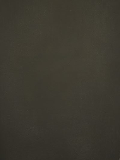 12287 Olive Green Distressed Text XS
