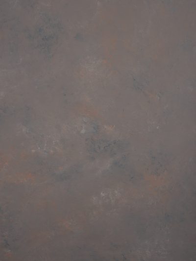 12311 Cold Grey Orange Mid Text XS