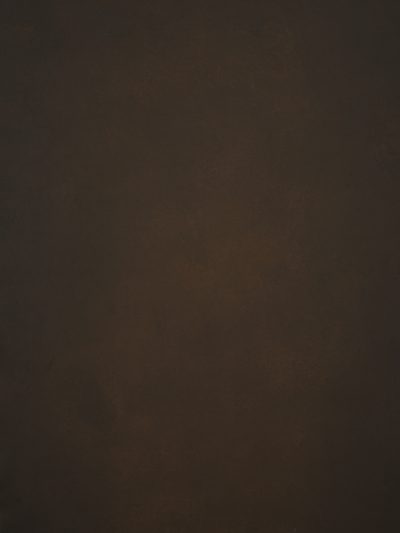 12333 Brown Low Text XS