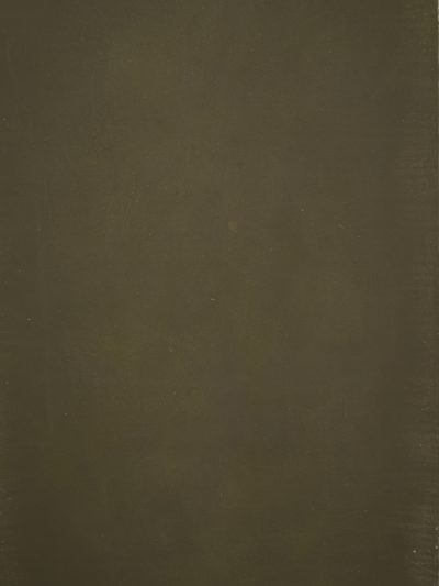 12358 Green Distressed Text XS