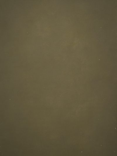 12397 Olive Green Distressed Text XS