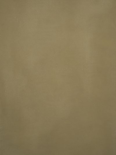 12398 Olive Green Distressed Text XS