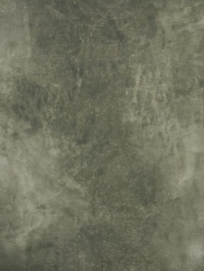 12507 Light Green Distressed Text ST