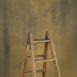 12526 Ochre Strong Text STa