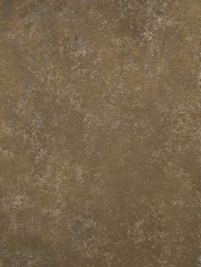 12562 Grey Brown Strong Text XS