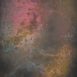 12665 Pink Ochre Strong Text ST