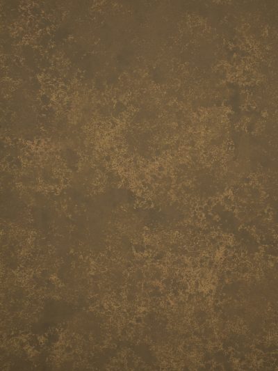 12674 Brown Strong Text XS