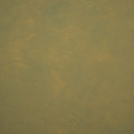 12676 Green Mid Text XS