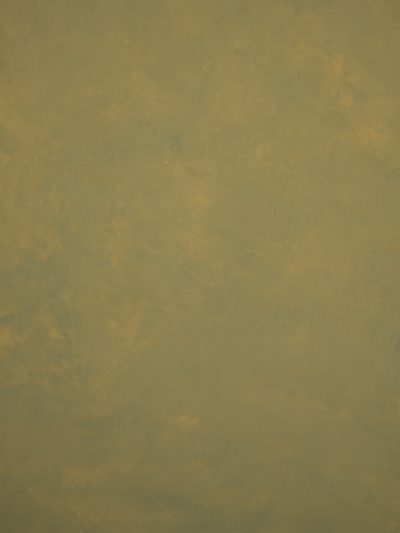 12678 Green Mid Text XS