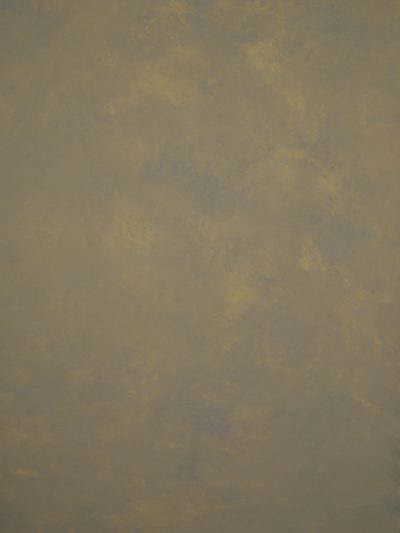 12684 Green Ochre Mid Text XS