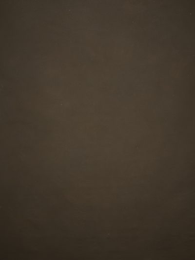 12758 Brown Distressed Text L