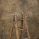 12765 Brown Ochre Strong Text La
