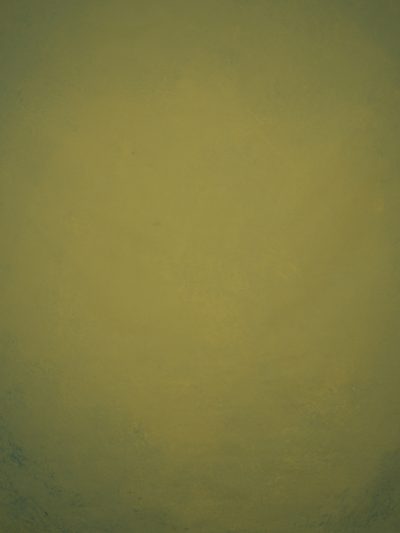 12769 Green Low Text L