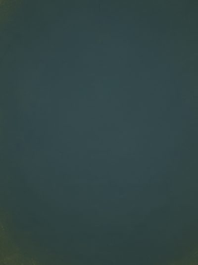 12773 Green Low Text L