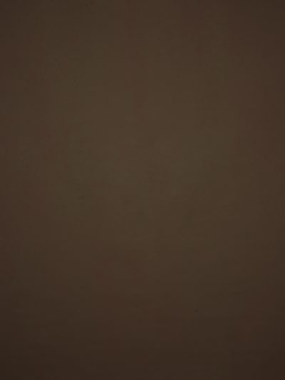12782 Green Brown Low Text L