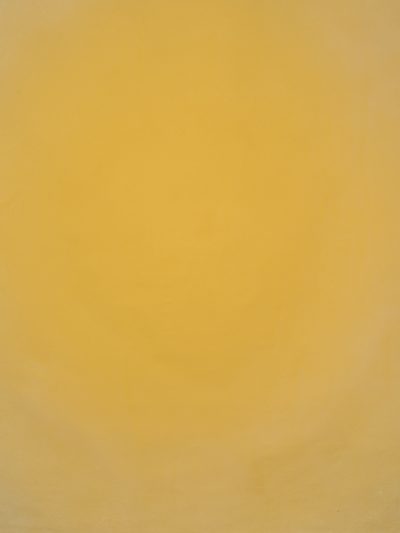 12797 Ochre Low Text L