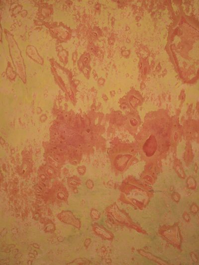 12802 Ochre Red Strong Text L