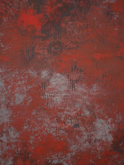 12828 Red Grey Strong Text L