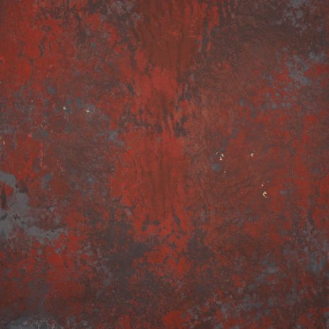 12836 Red Grey Strong Text L