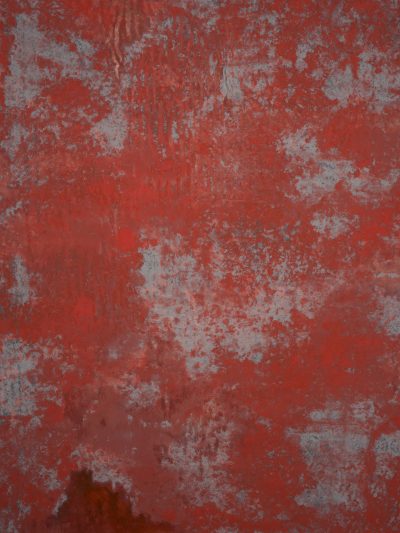 12839 Red Grey Strong Text L