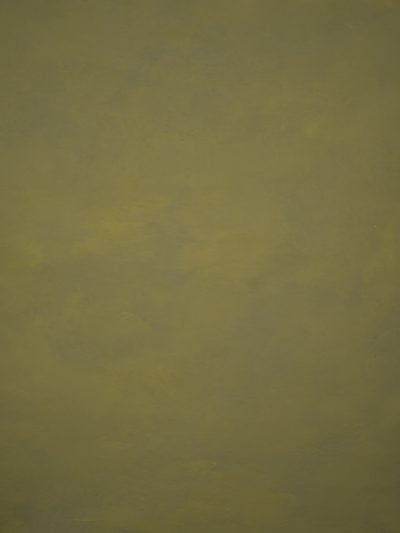 12881 Green Low Text M