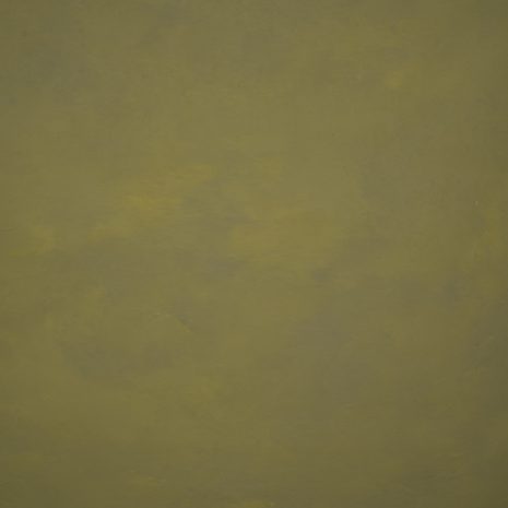 12881 Green Low Text M