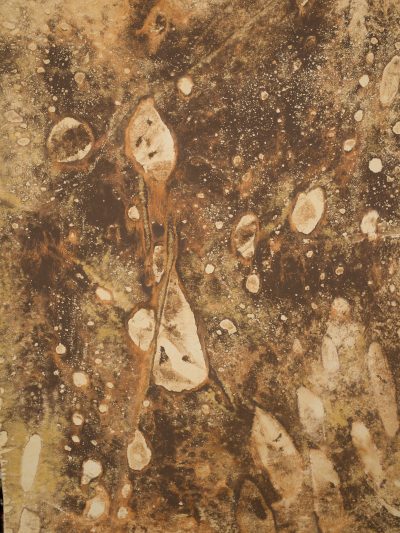 13020 Ochre Brown Strong Text ST