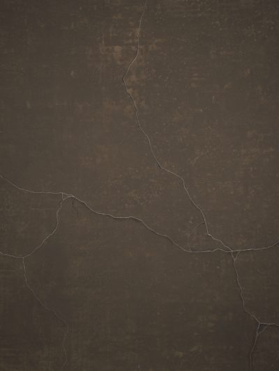 1320 Warm Grey Strong Text L+