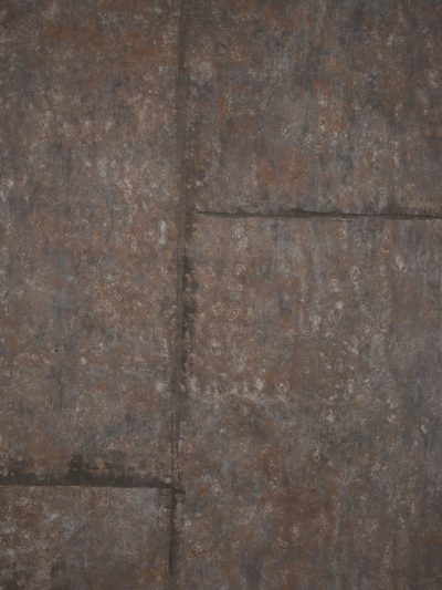 13789 Grey Brown Strong Text L