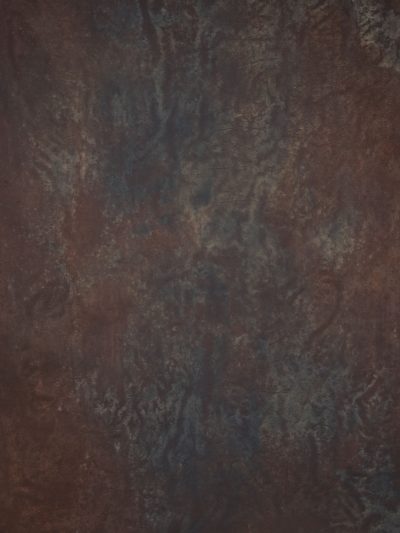 13803 Brown Blue Strong Text L