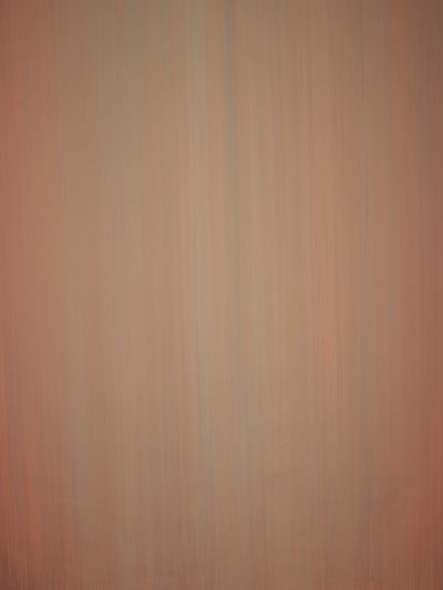 13838 Blue Orange Low Text L