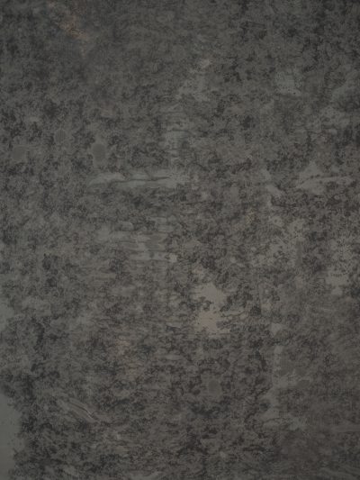 13884 Greenish Grey Strong Text ST