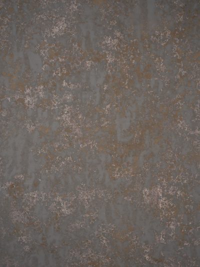 13901 Warm Grey Strong Text ST