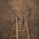 13926 Brown Beige Strong Text STa