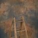 13957 Blue Ochre Strong Text STa