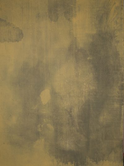 14010 Ochre Mid Text M