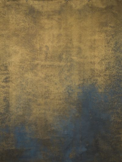 14205 Gold Blue Strong Text L