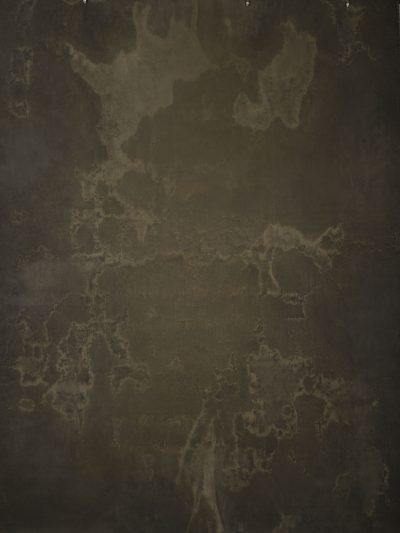 14297 Greenish Grey Strong Text M