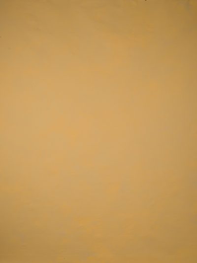 14314 Ochre Low Text L