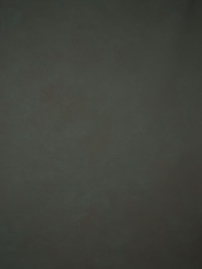14317 Dark Tirquize Low Text L