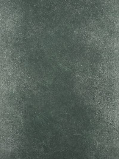 14429 Green Distressed Text XS