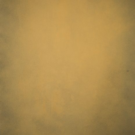 14478 Ochre Low Text ST